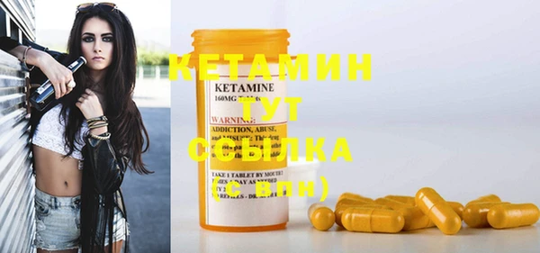 стафф Каменка