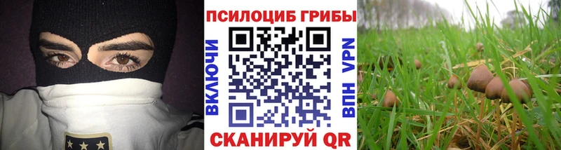 Псилоцибиновые грибы мицелий  кракен зеркало  Кизел 